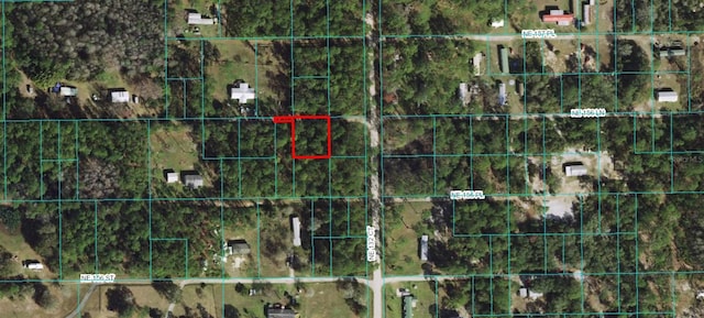 00 NE 156th Ln, Fort Mc Coy, FL 32134 - photo 1