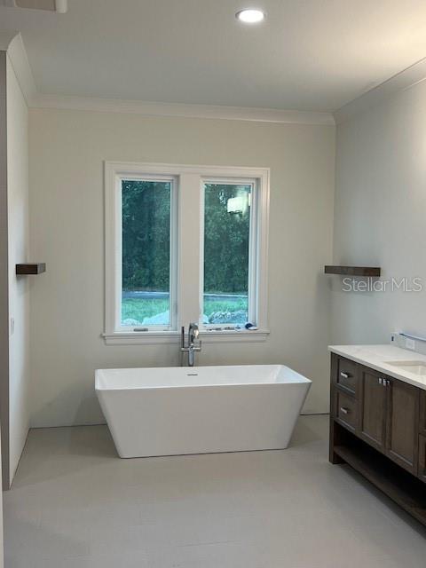 bathroom featuring crown molding, vanity, and a washtub