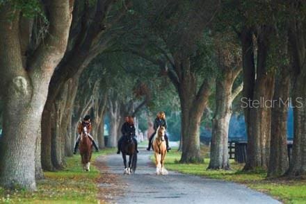823 SE 116th Place Rd, Ocala, FL 34480