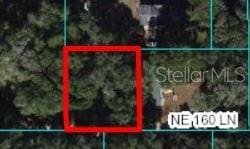 00 NE 160th Ln, Citra FL, 32113 land for sale