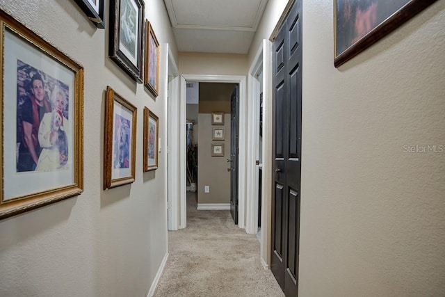 corridor with light carpet and ornamental molding