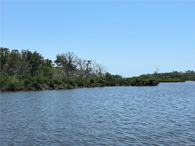 102 Carnahans Is, Crystal River FL, 34429 land for sale