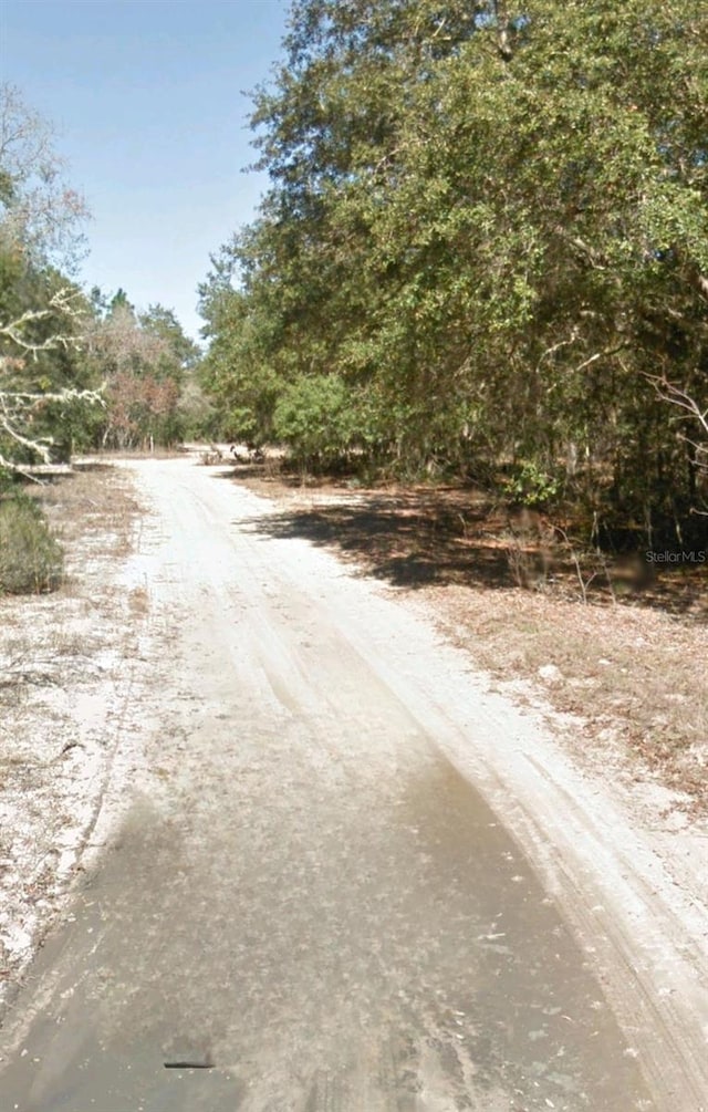 208 Cedar Trl, Interlachen FL, 32148 land for sale