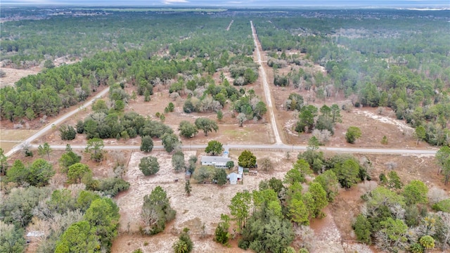 view of bird's eye view