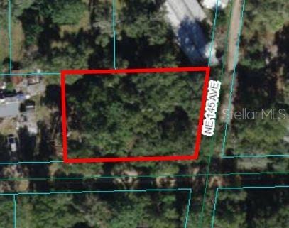 00 NE 213th Pl, Fort Mc Coy FL, 32134 land for sale