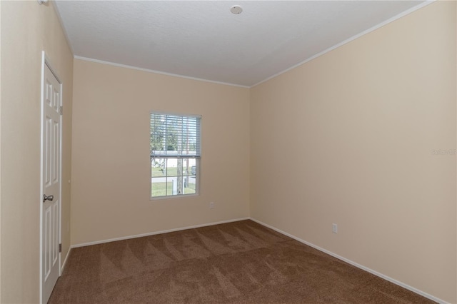 empty room with carpet and crown molding