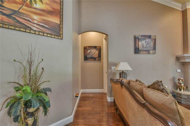 corridor featuring crown molding and dark hardwood / wood-style floors