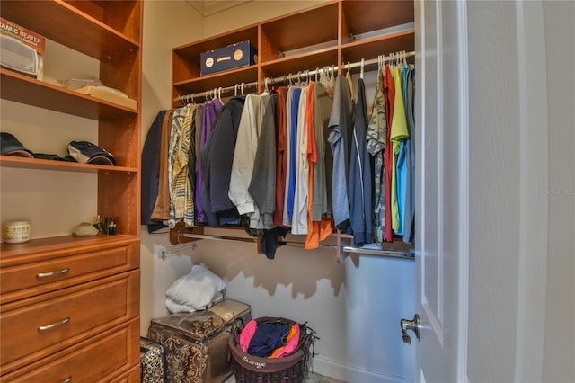 view of spacious closet