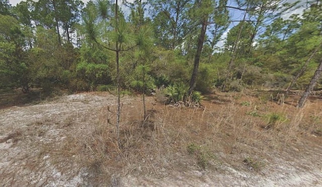 158 Ferncreek Dr, Georgetown FL, 32139 land for sale