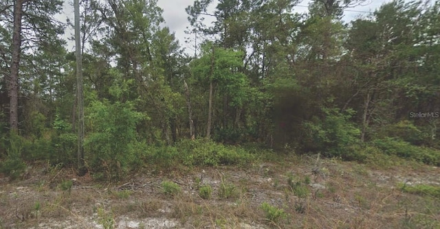 120 New York Ave, Satsuma FL, 32189 land for sale