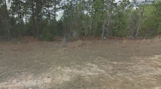 254 Brussels Ave, Interlachen FL, 32148 land for sale