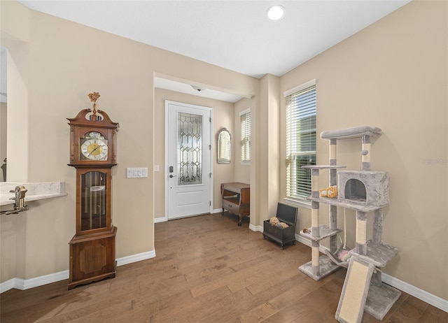 foyer with wood-type flooring