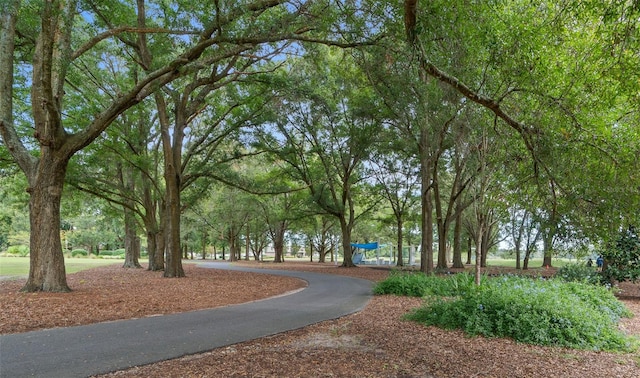 view of surrounding community