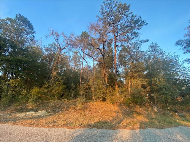 LOT28 SW 206th Cir, Dunnellon FL, 34431 land for sale