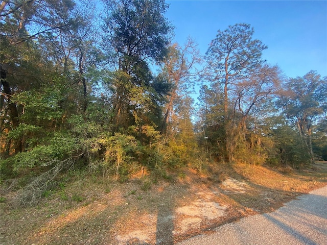 Listing photo 2 for LOT28 SW 206th Cir, Dunnellon FL 34431