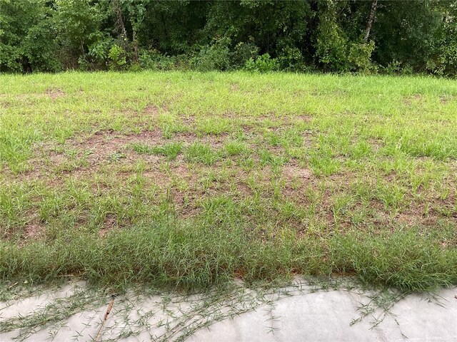 15010 NE 3rd Pl, Williston, FL 32696 - photo 24