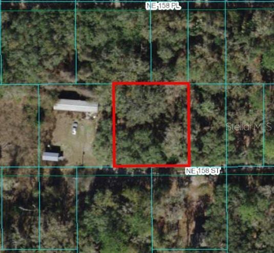 00 NE 158th St, Fort Mc Coy FL, 32134 land for sale