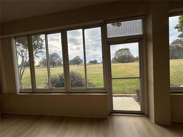 entryway with light hardwood / wood-style floors and a rural view