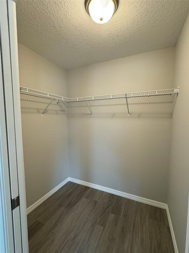 spacious closet with dark wood-type flooring