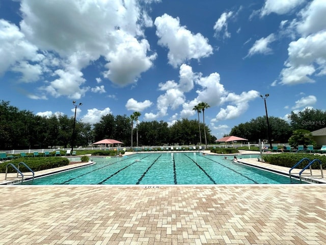 view of swimming pool featuring a patio area