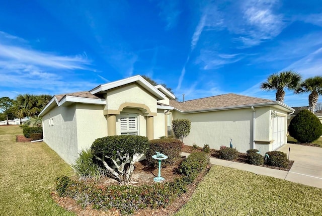 ranch-style house featuring a front yard