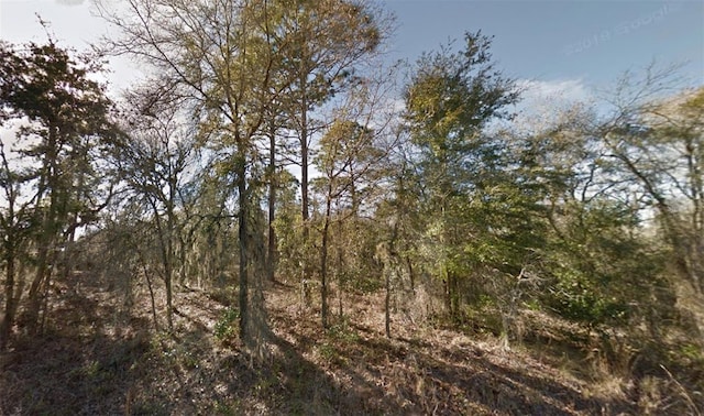 00 NE 122nd Ave, Williston FL, 32696 land for sale