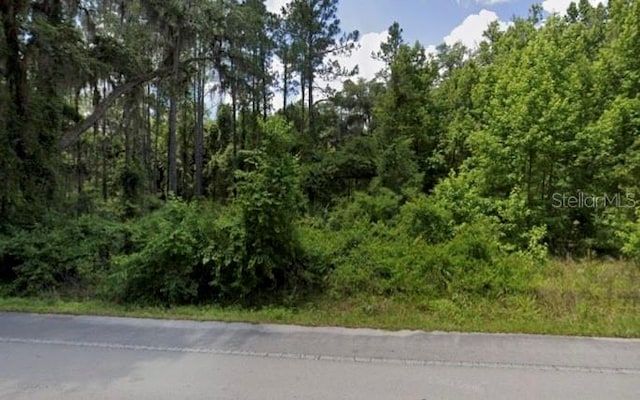 3865 NE 170th St, Citra FL, 32113 land for sale