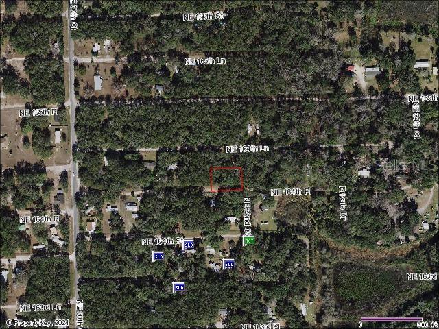 Listing photo 2 for TBD NE 164th, Citra FL 32113