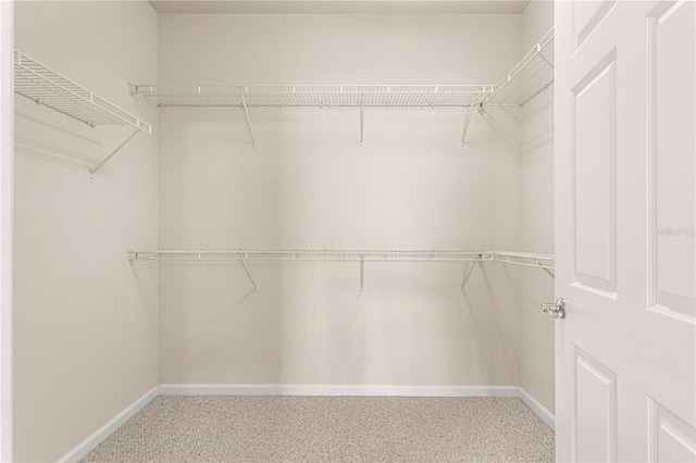 walk in closet with carpet flooring