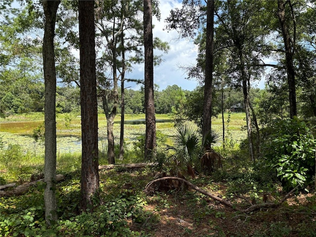 Listing photo 2 for TBD SE 59th St, Ocklawaha FL 32179