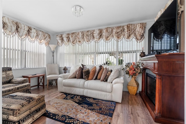 living room with hardwood / wood-style flooring