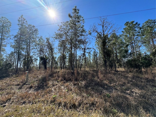 TBD NE 132nd Ter, Williston FL, 32696 land for sale