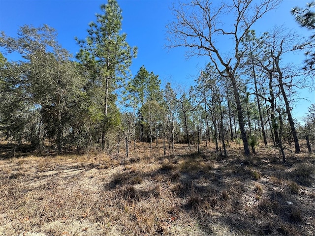 Listing photo 2 for TBD NE 132nd Ter, Williston FL 32696