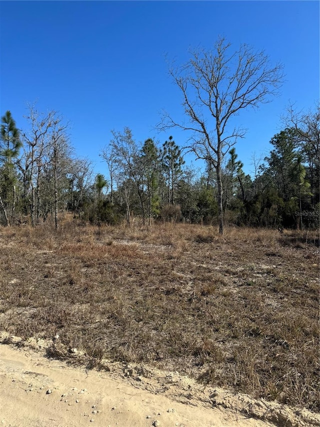 Listing photo 3 for TBD NE 132nd Ter, Williston FL 32696