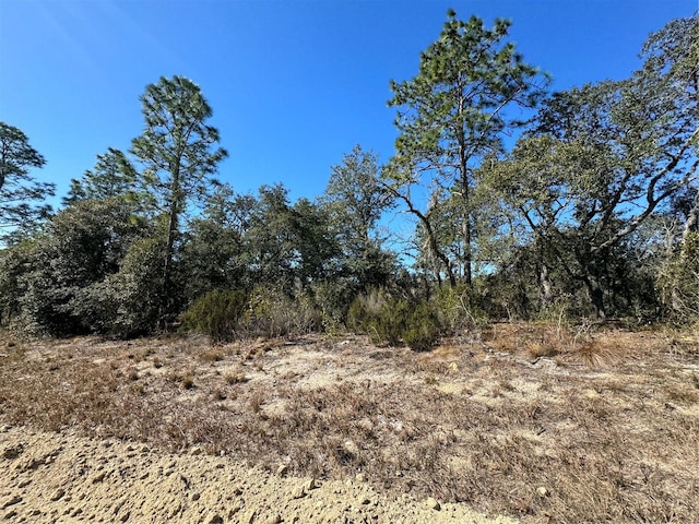 TBD NE 121st Ave, Williston FL, 32696 land for sale