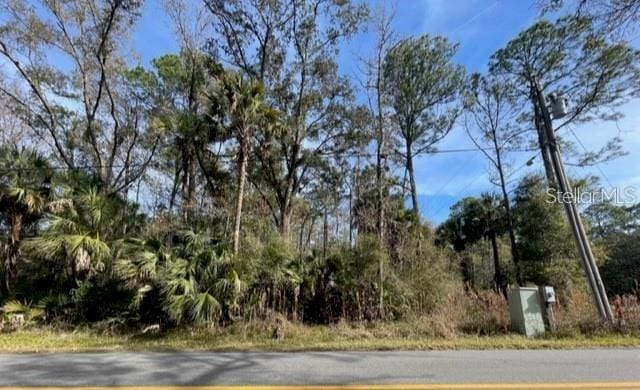 3411 S Michigan Blvd, Homosassa FL, 34448 land for sale