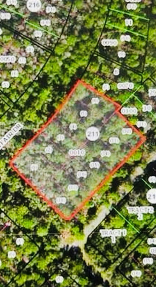 3411 S Michigan Blvd, Homosassa, FL 34448 - photo 6