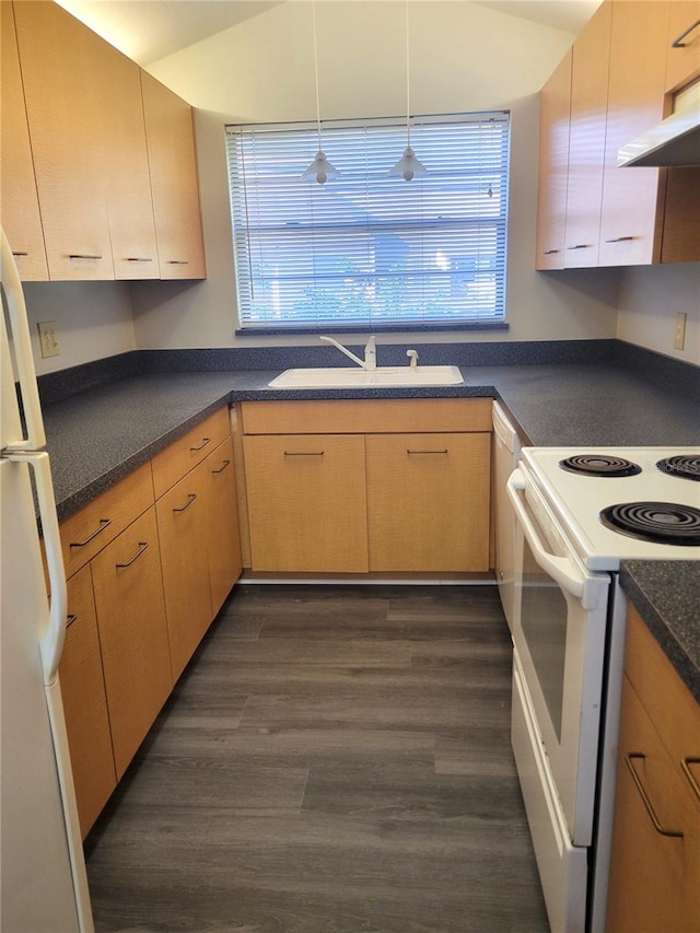 kitchen featuring dark wood-style flooring, dark countertops, a sink, white appliances, and under cabinet range hood