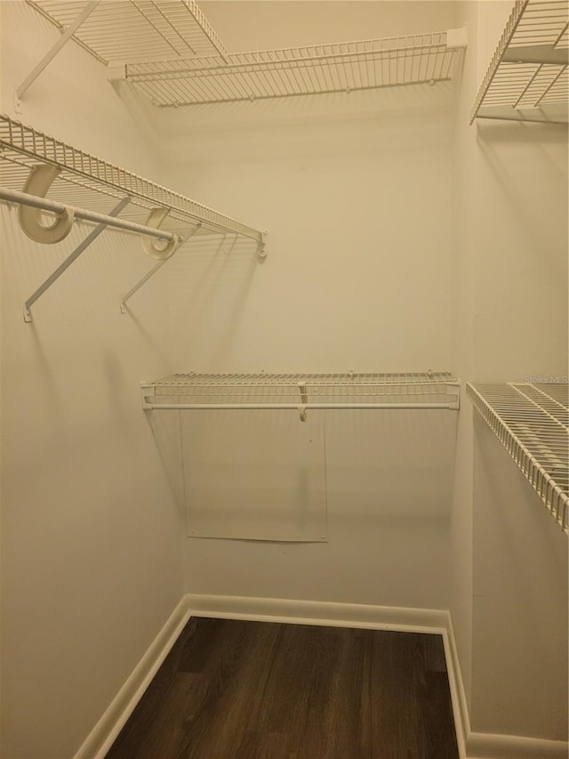 spacious closet featuring wood finished floors