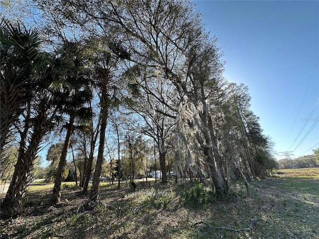 TBD NE 151st Ln, Fort Mc Coy FL, 32134 land for sale