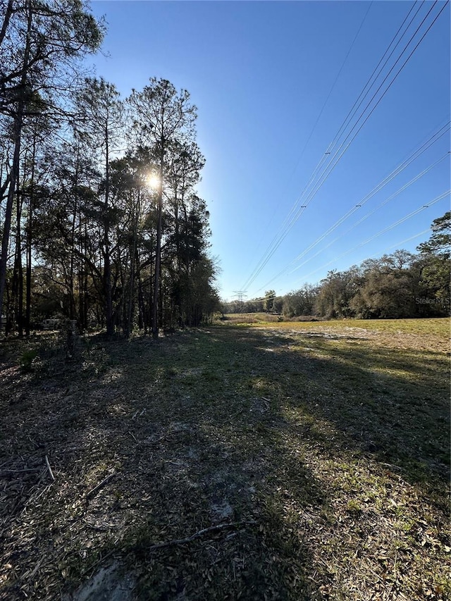 Listing photo 2 for TBD NE 151st Ln, Fort Mc Coy FL 32134