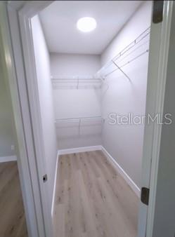 spacious closet featuring wood-type flooring