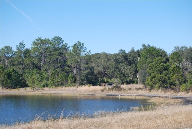 0 Fisher Pass Lot 5, Ocklawaha FL, 32179 land for sale