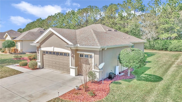 ranch-style house with a front yard