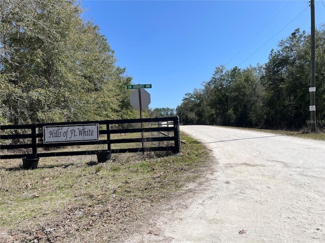 Listing photo 3 for SW Dig Ct, Fort White FL 32038