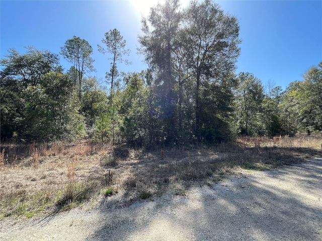 SW Dig Ct, Fort White, FL 32038