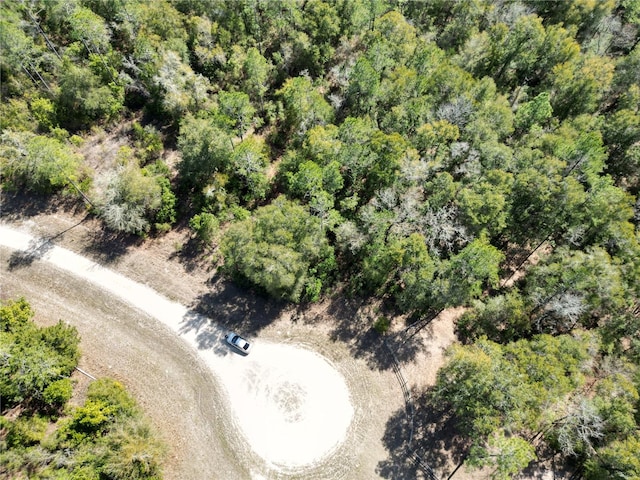 SW Dig Ct, Fort White, FL 32038