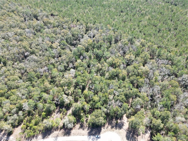 SW Dig Ct, Fort White, FL 32038