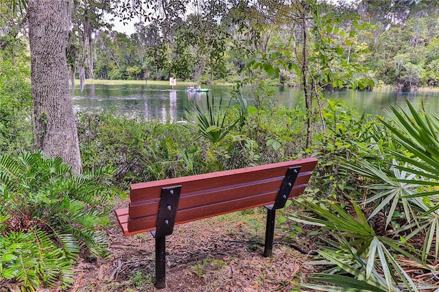 view of home's community with a water view