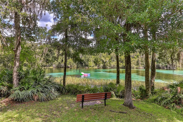 view of property's community with a yard and a water view